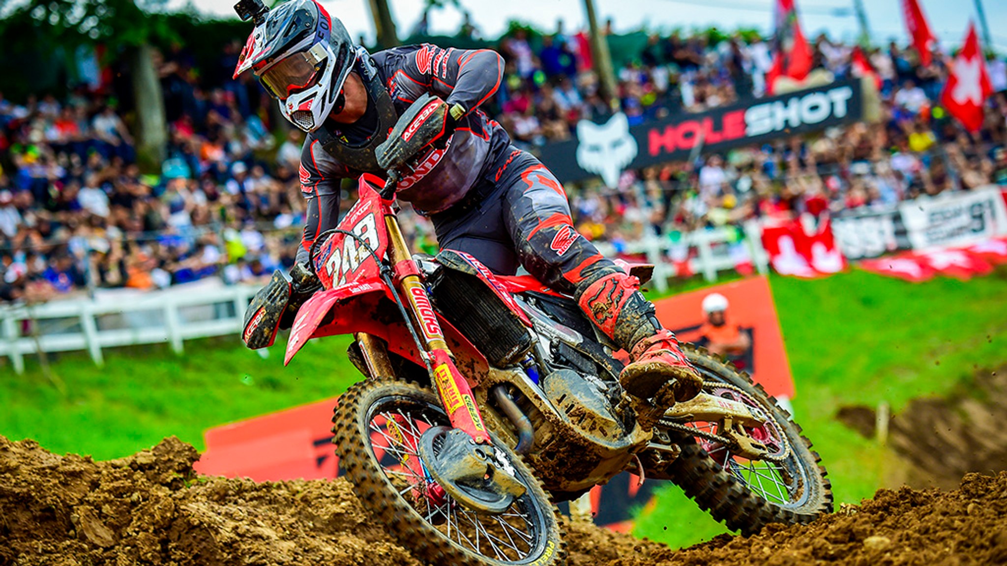 Gajser and Coenen Quickest