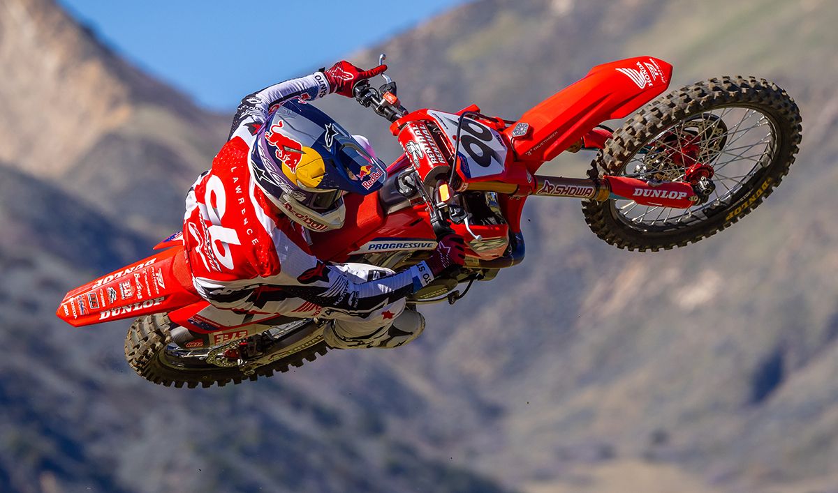 Lawrences and Shimda - Gallery image