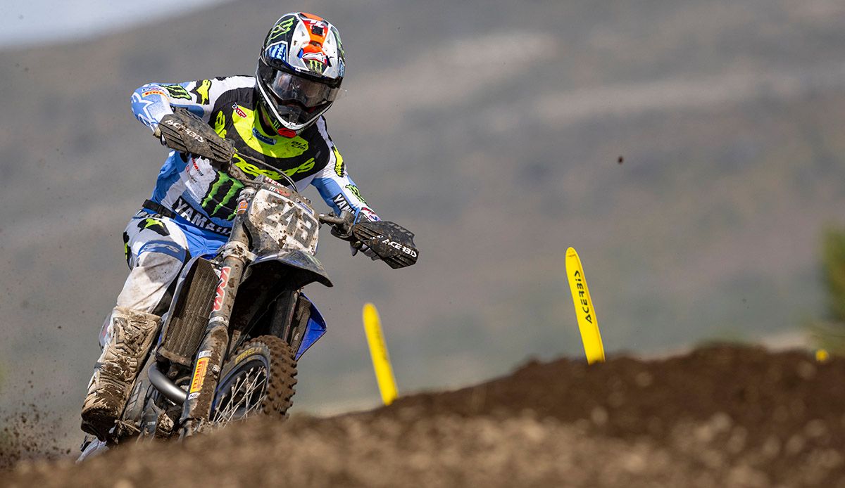 MX Large