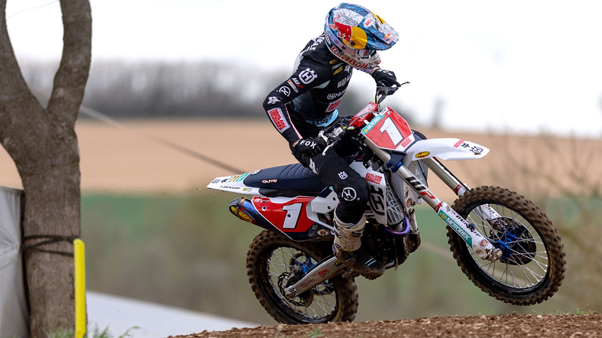 De Wolf On Pole - Arco MX2