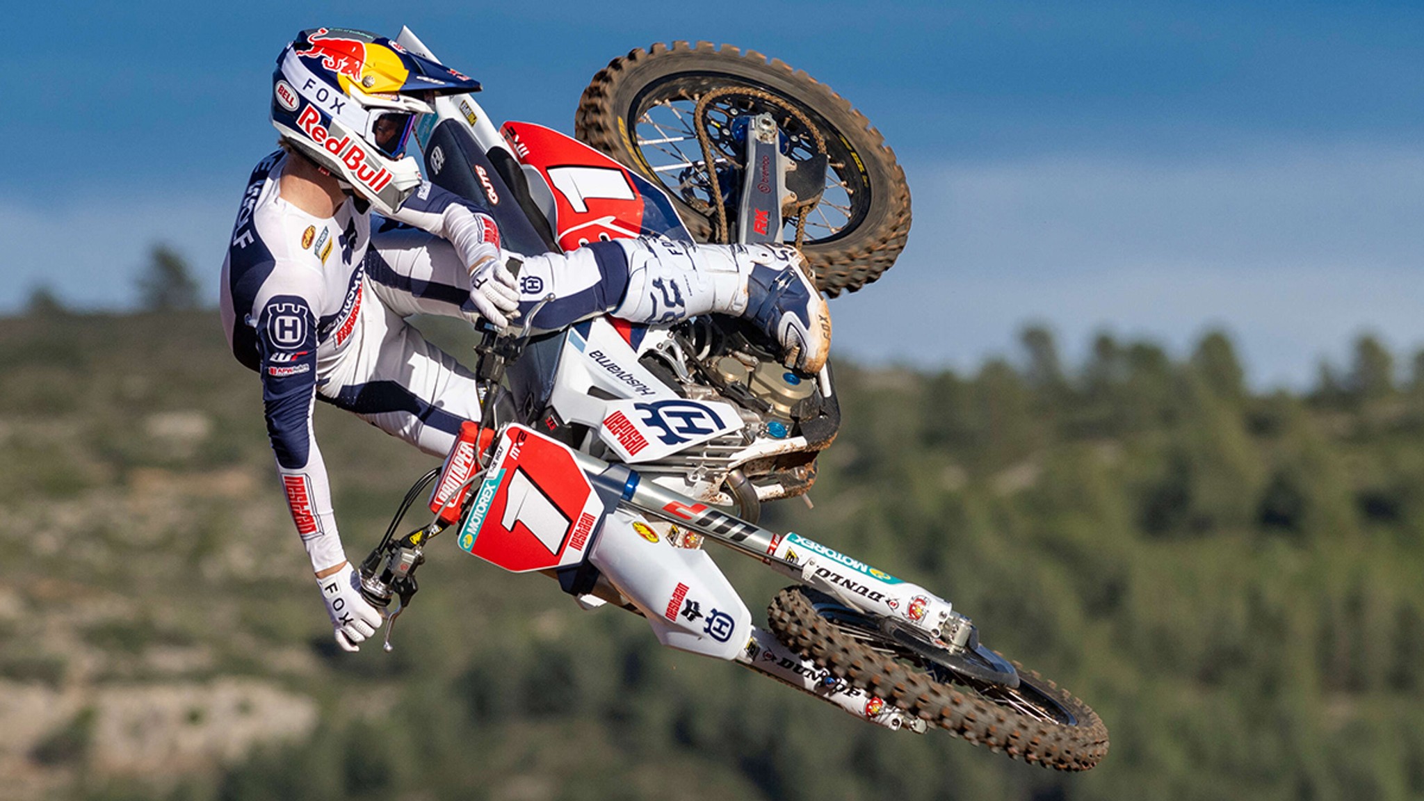 De Wolf In For Lierop