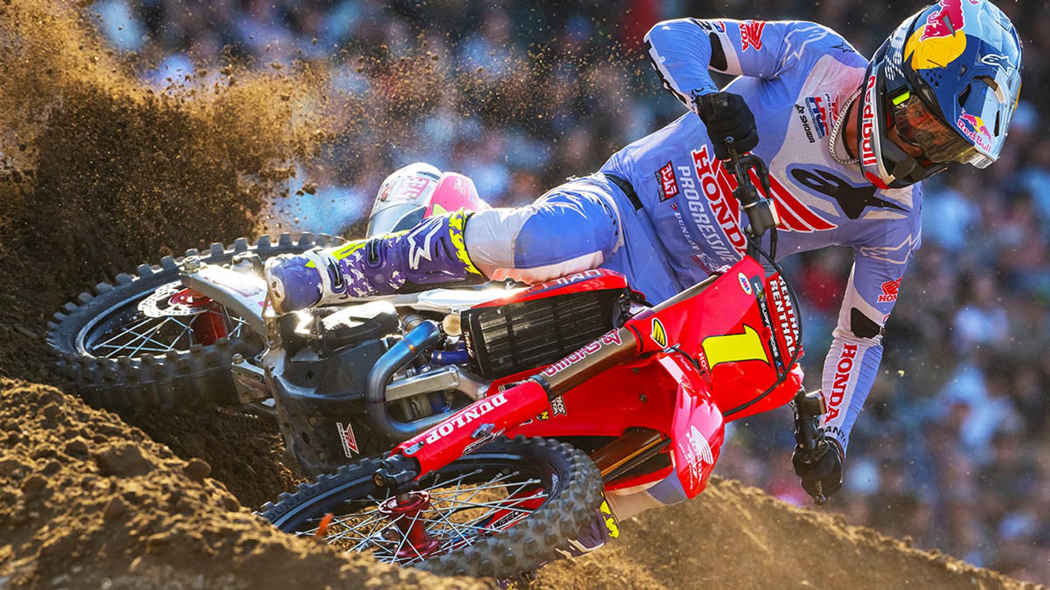 The Champion - Gallery