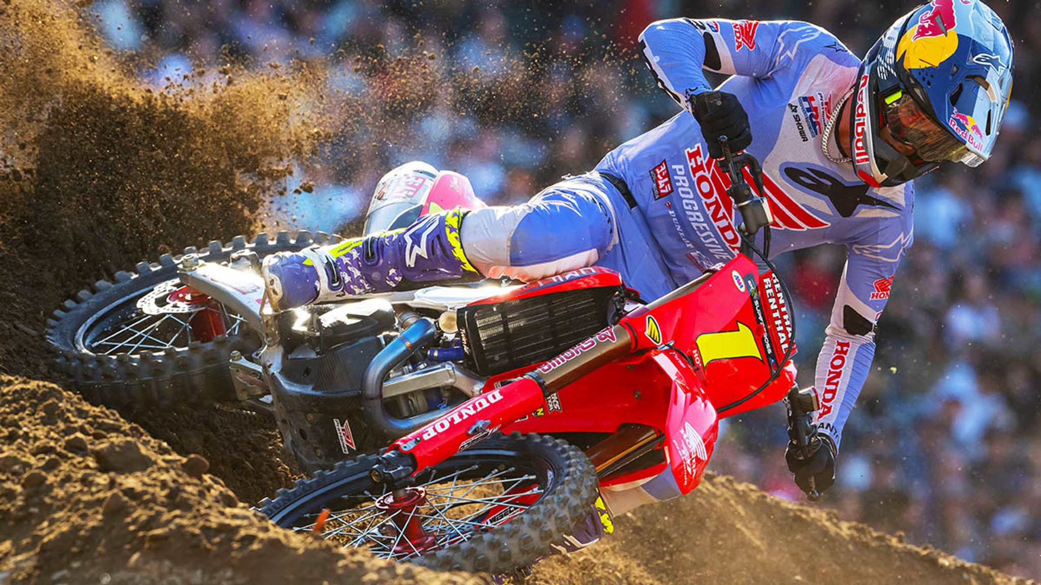 The Champion - Gallery