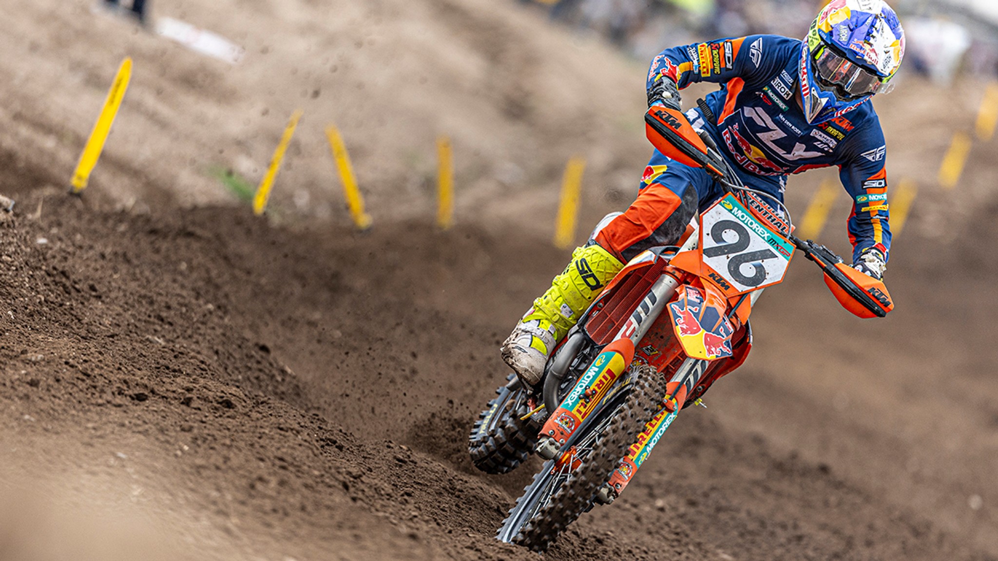 Coenen Quickest - Agueda