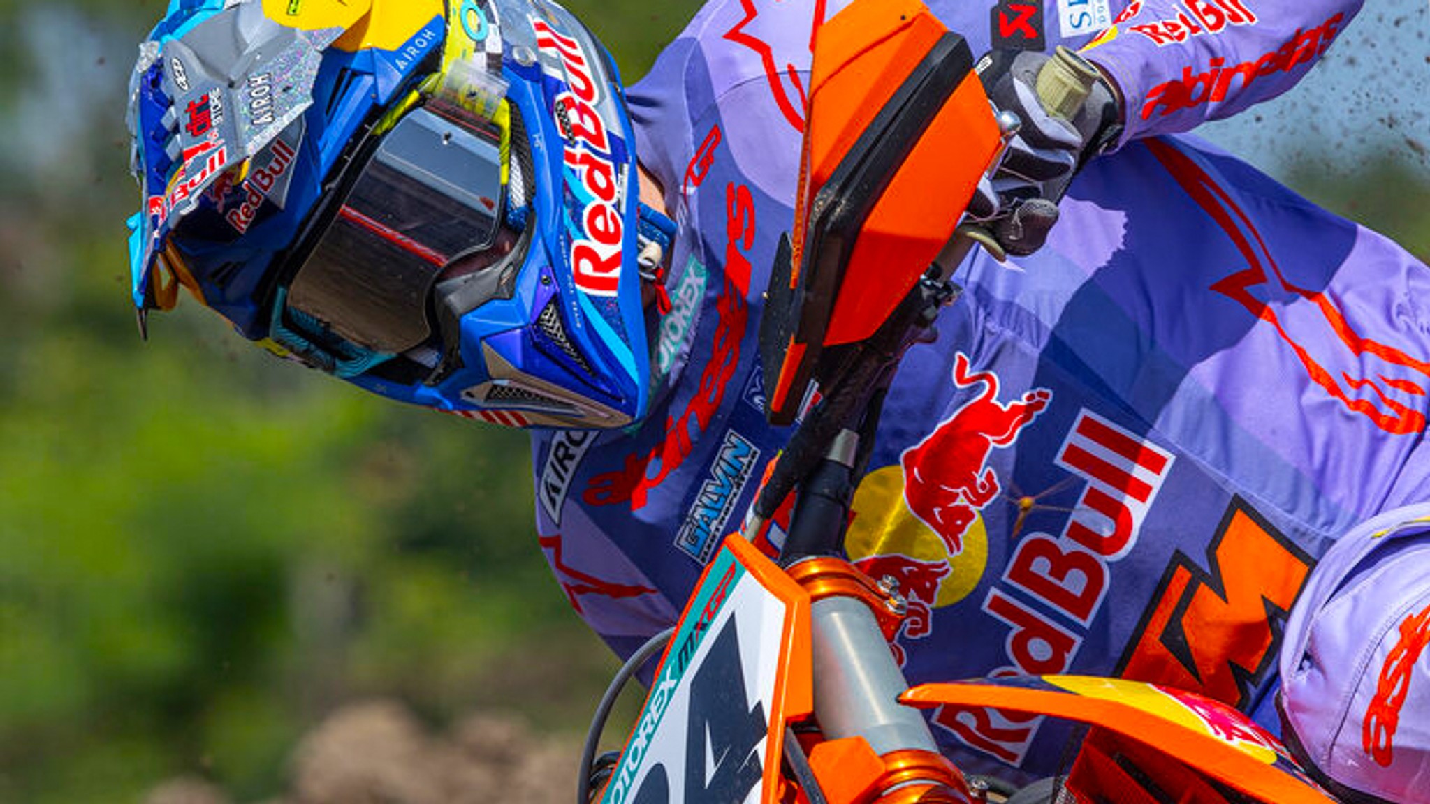 Herlings Quick Early - Lommel