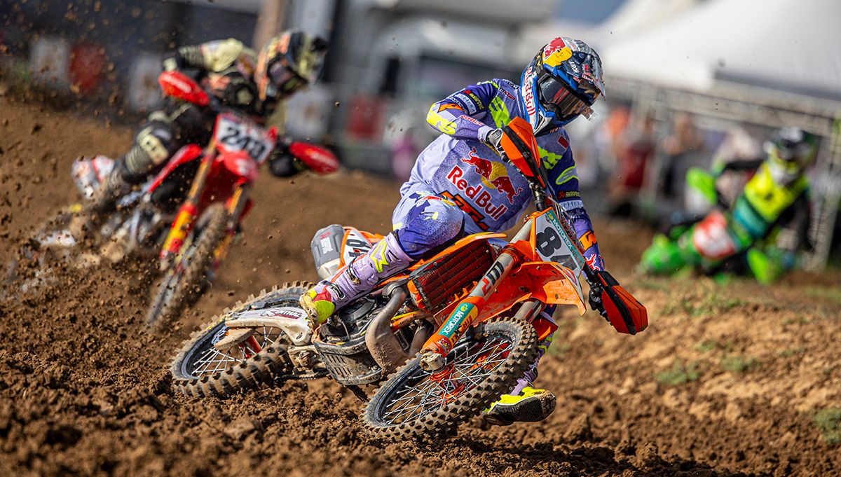 MX Large