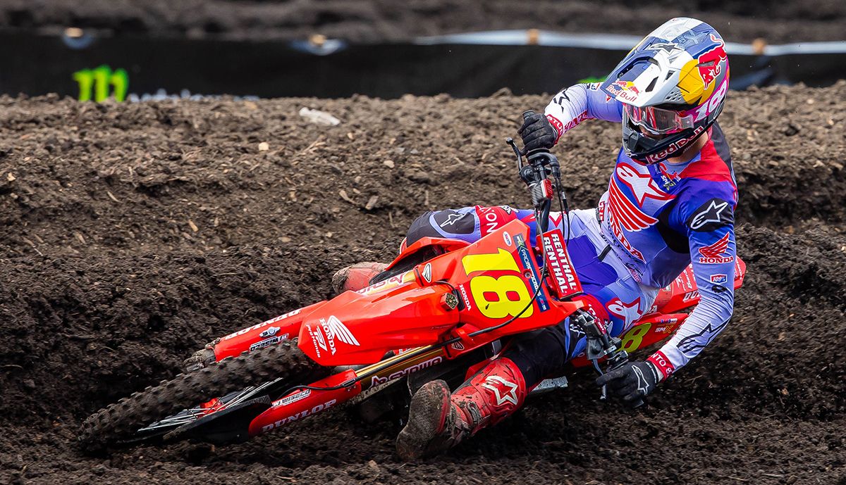 MX Large