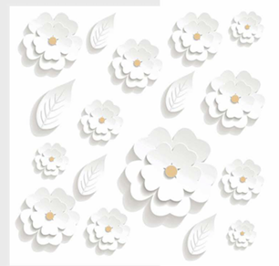 Design 3004