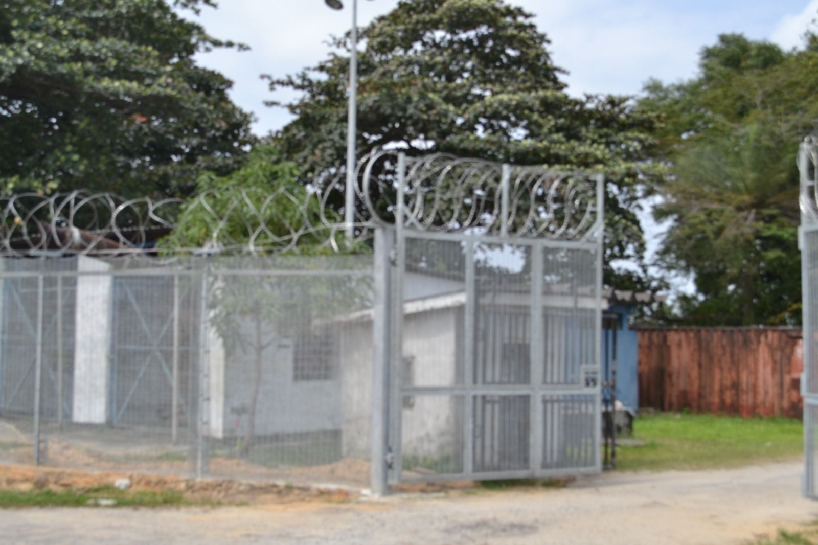 Security fencing