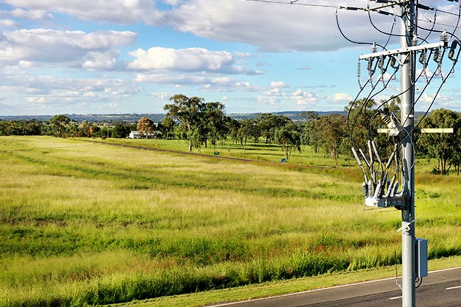 Using Fault Locator Algorithms on the Overhead Electricity Distribution Network