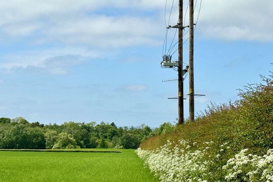 Por que as concessionárias usam os religadores OSM da NOJA Power como Seccionalizador