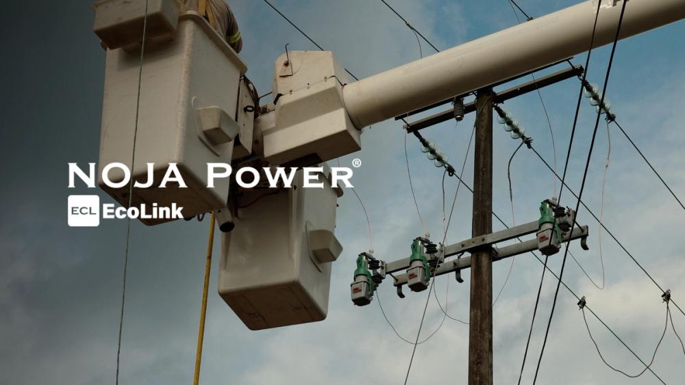 Medium Voltage Fuses Are Not Fail-Safe: Candling Failures Pose Wildfire Risk