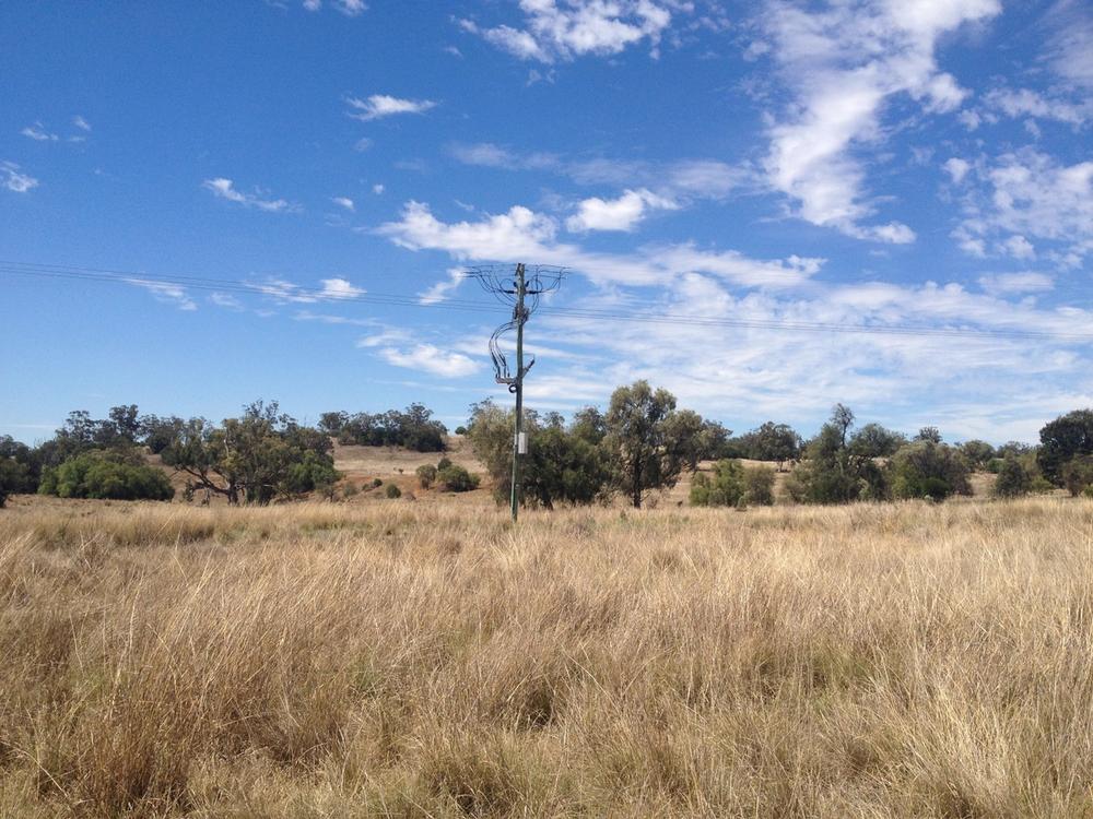 Bushfire Mitigation NOJA Power OSM Recloser in outback NSW, Australia with brown tall grass in the foreground