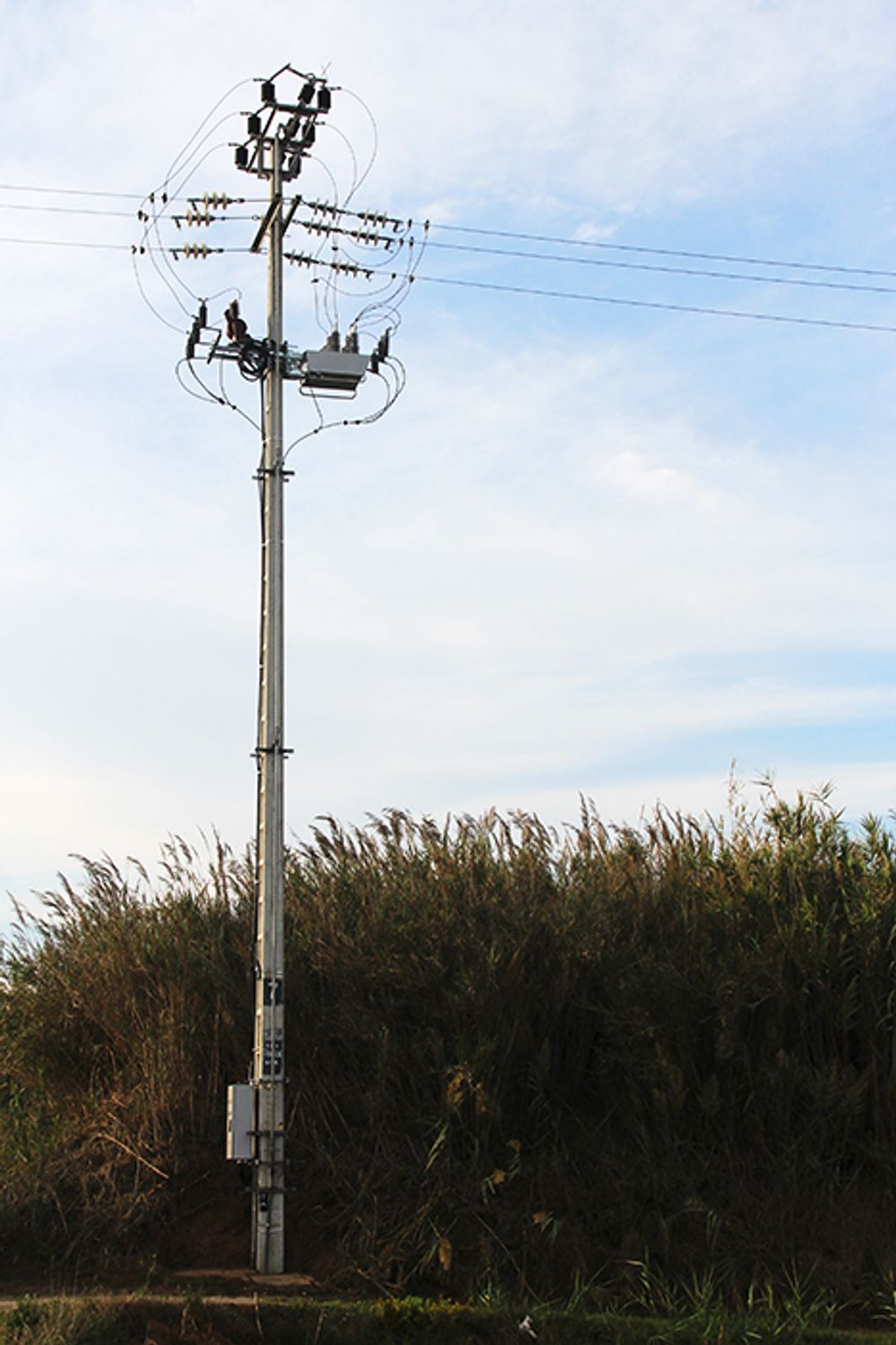 NOJA Power OSM Recloser in front of tall grass field in Portugal 