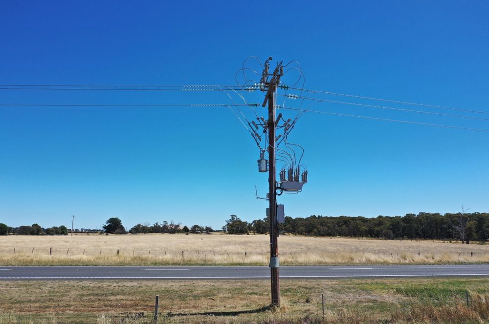 Uma instalação de religador NOJA Power OSM na Austrália, completa com protetores de pássaros nos terminais de alta tensão e uma capa protetora de escalada de animais instalada na base do poste © 2024 NOJA Power.