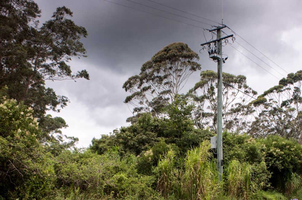Bushfire Mitigation NOJA Power OSM Recloser in Queensland, Australia.