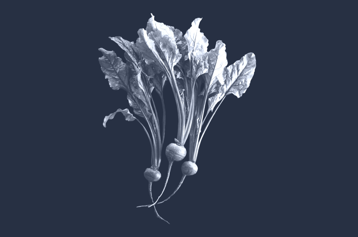 Turnips on a dark blue background