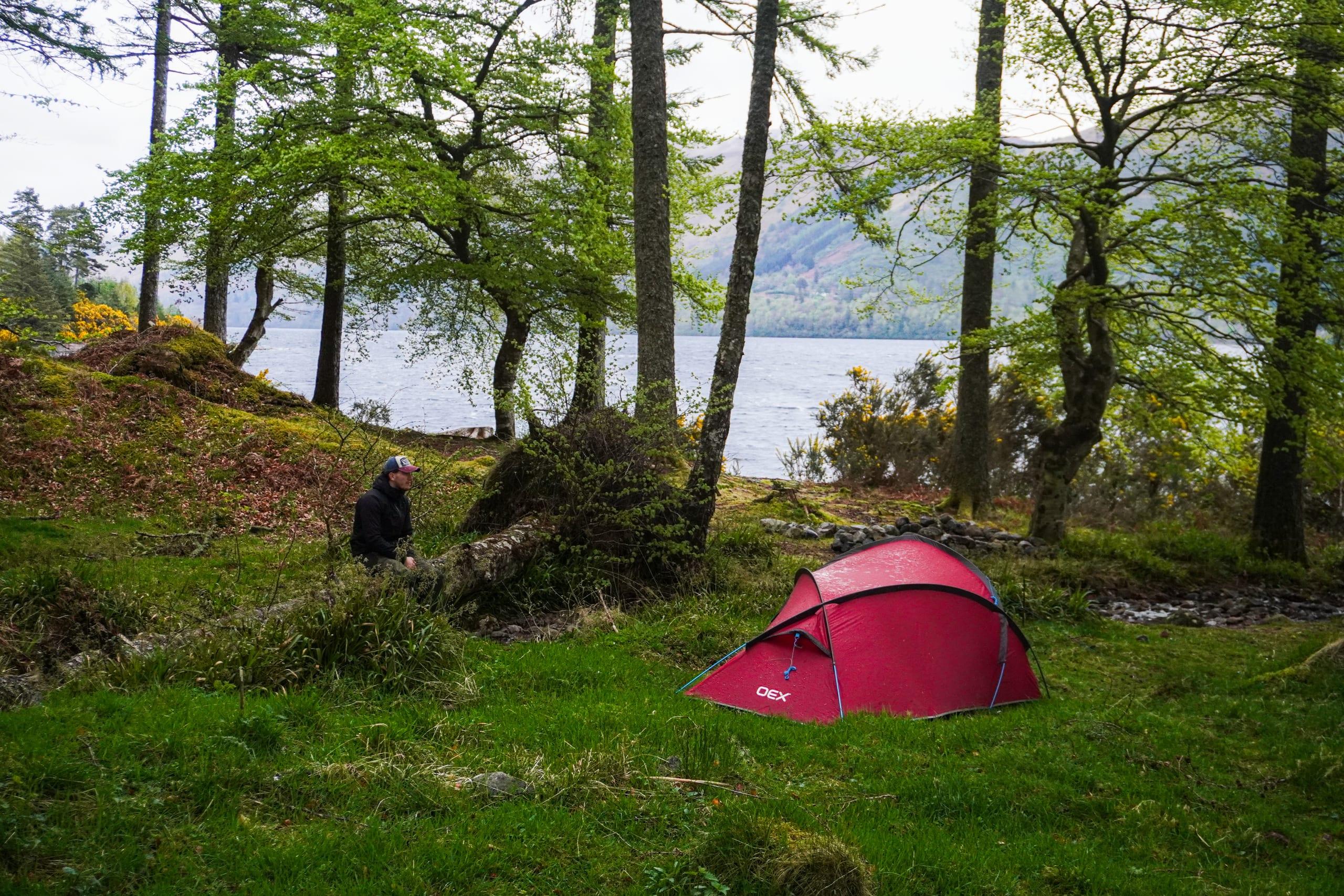 A tent sheltered by trees