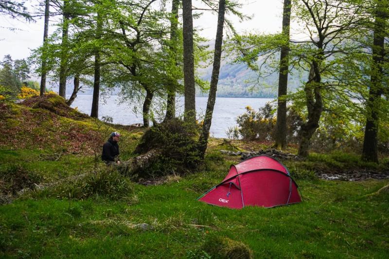 A tent sheltered by trees