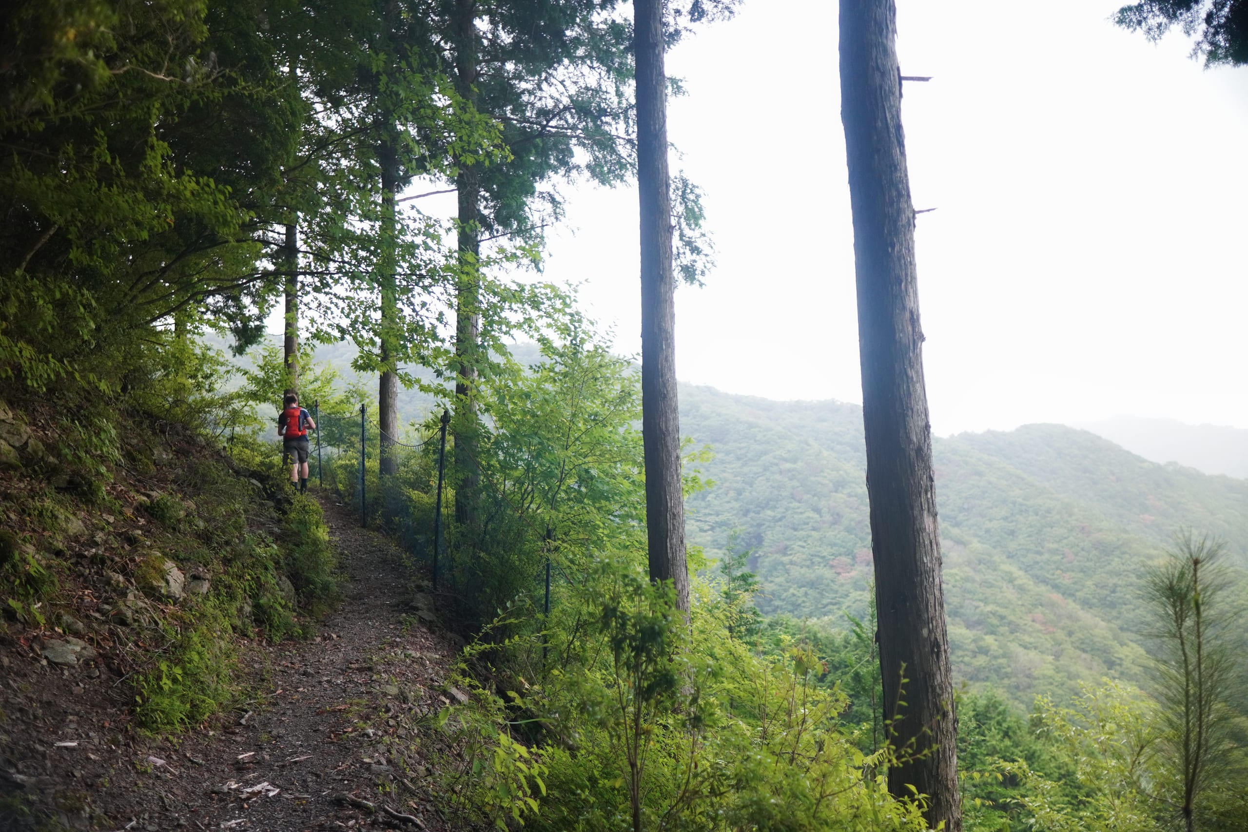 Foggy trail over mountains