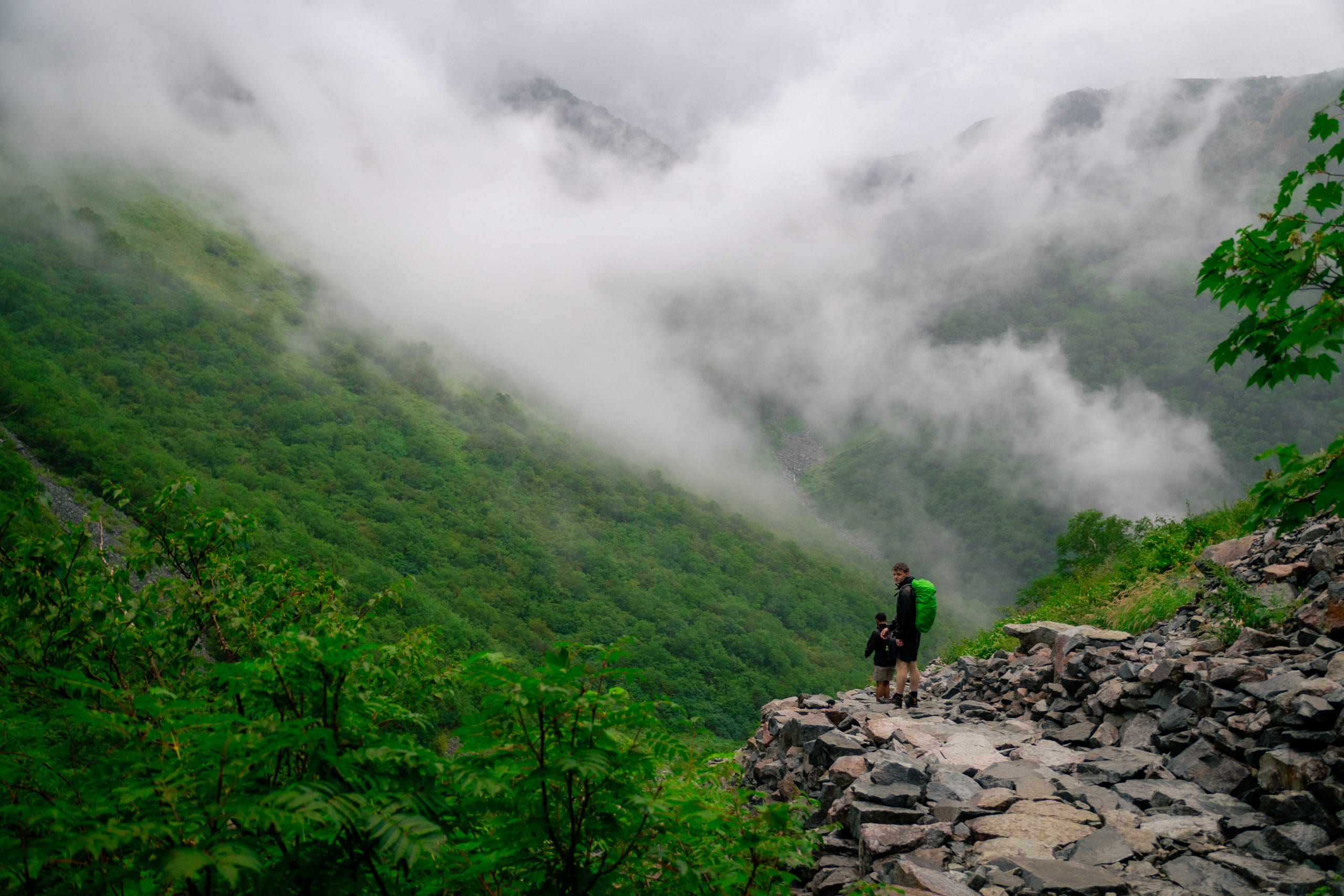 Fog and forests, after the daikiretto