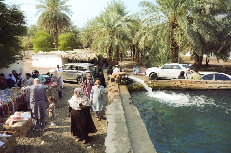 Inside Sulman-al-farsi's date farm