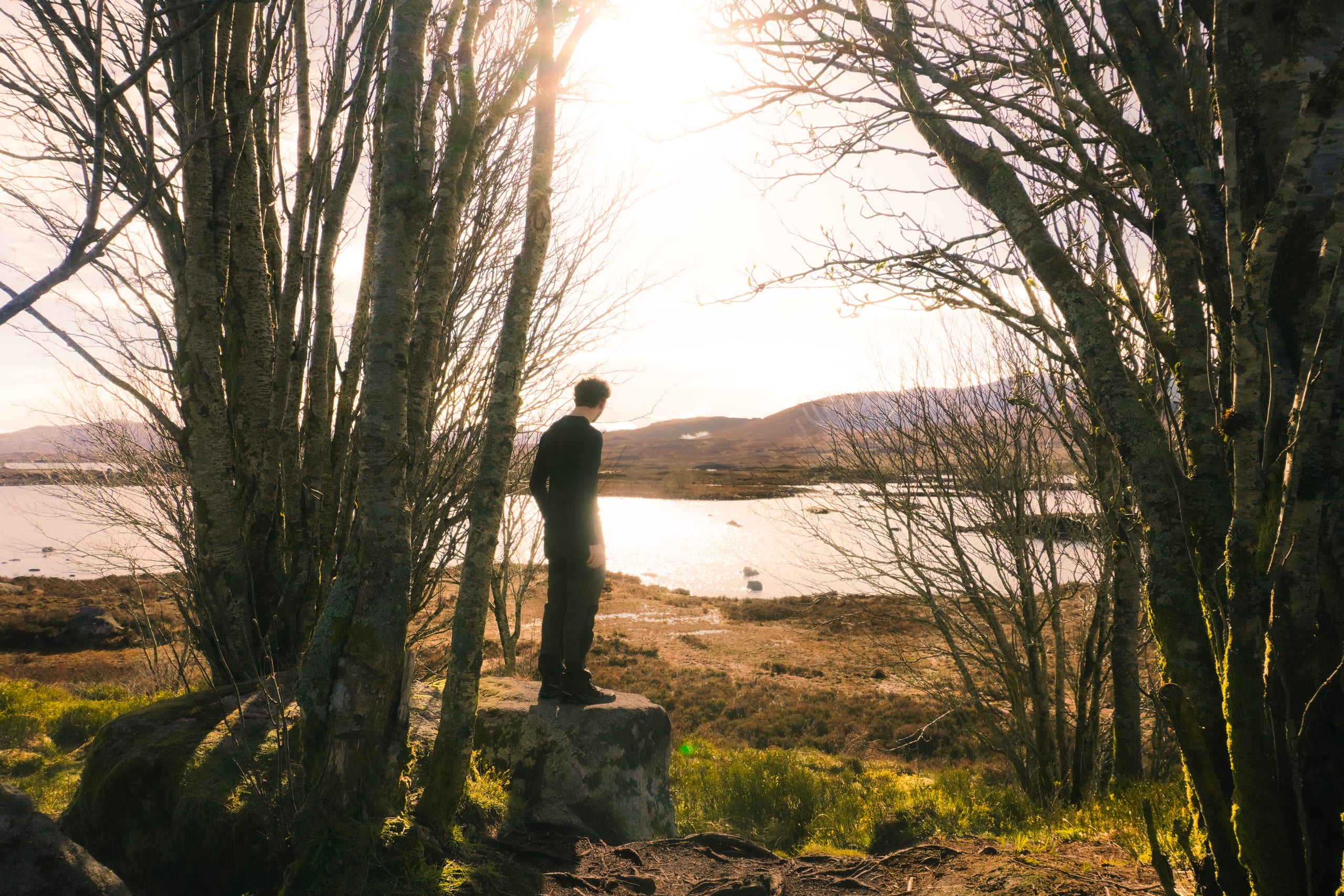 Man stood against warm sun, looking over a lake