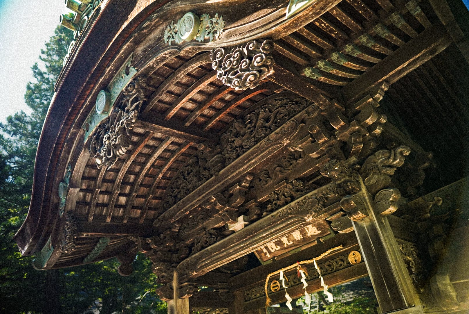 Torii gate in Koyasan