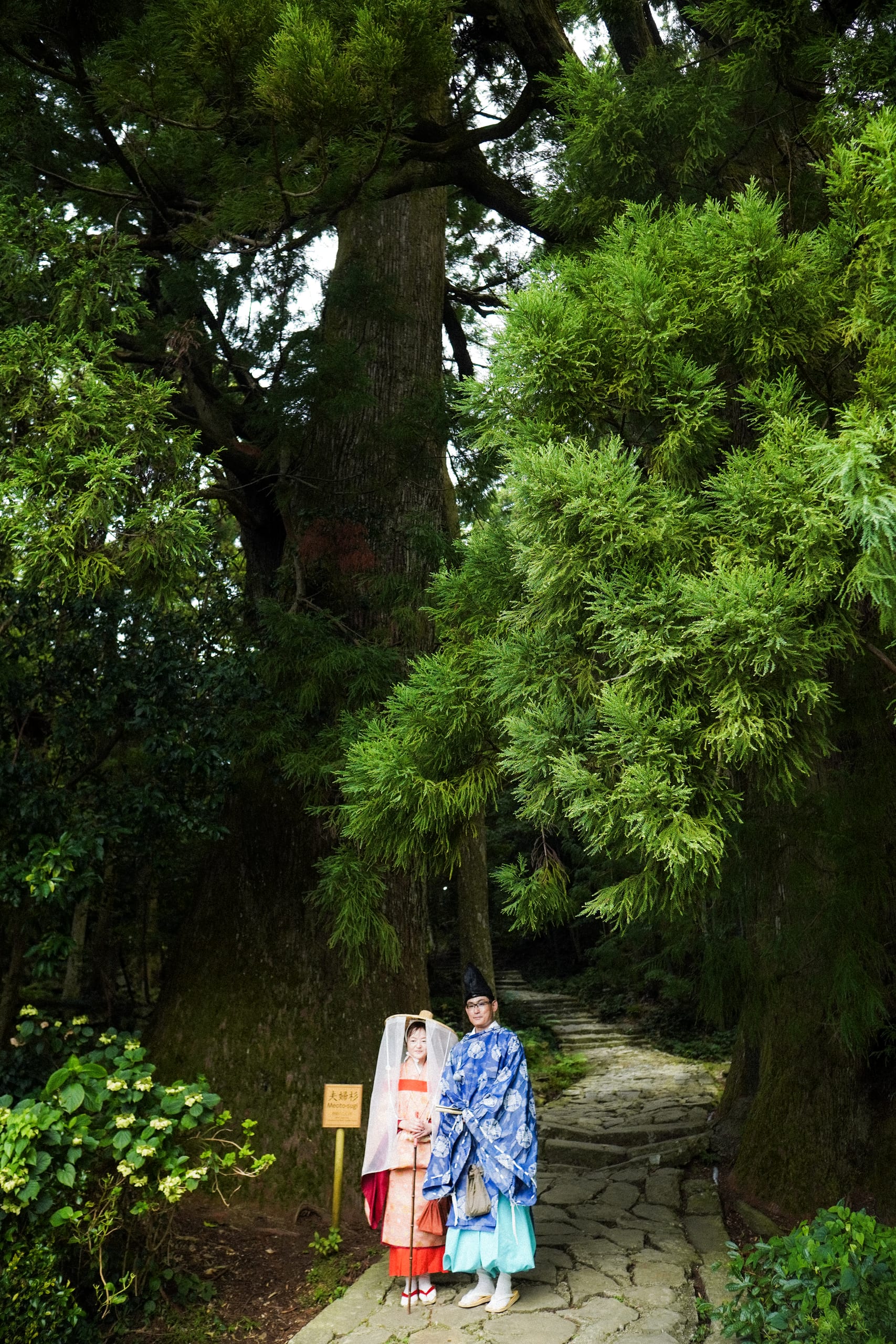 A Newly-wed couple beside the sacred Meoto-Sugi Trees