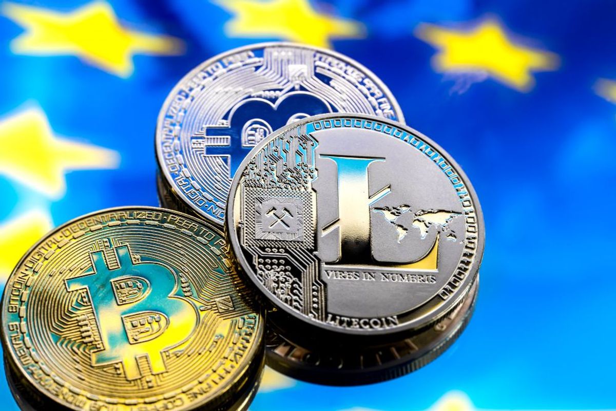 Which is Better To Accept For Digital Payments? Bitcoin or Altcoins?