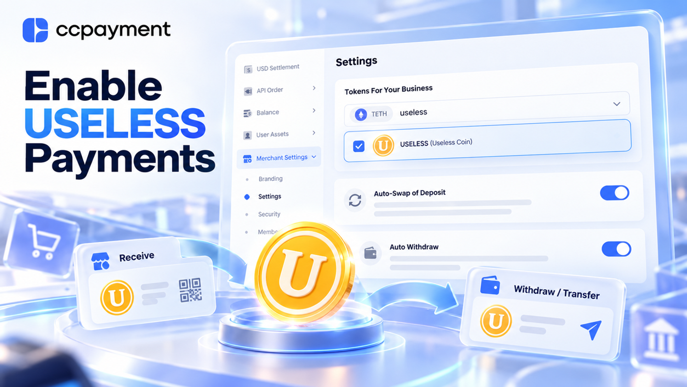 How USELESS Payments Work with CCPayment