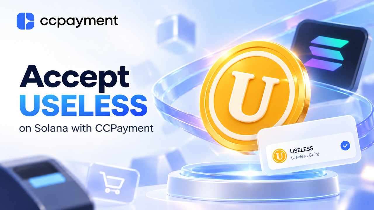 Accept USELESS Payments on Solana with CCPayment