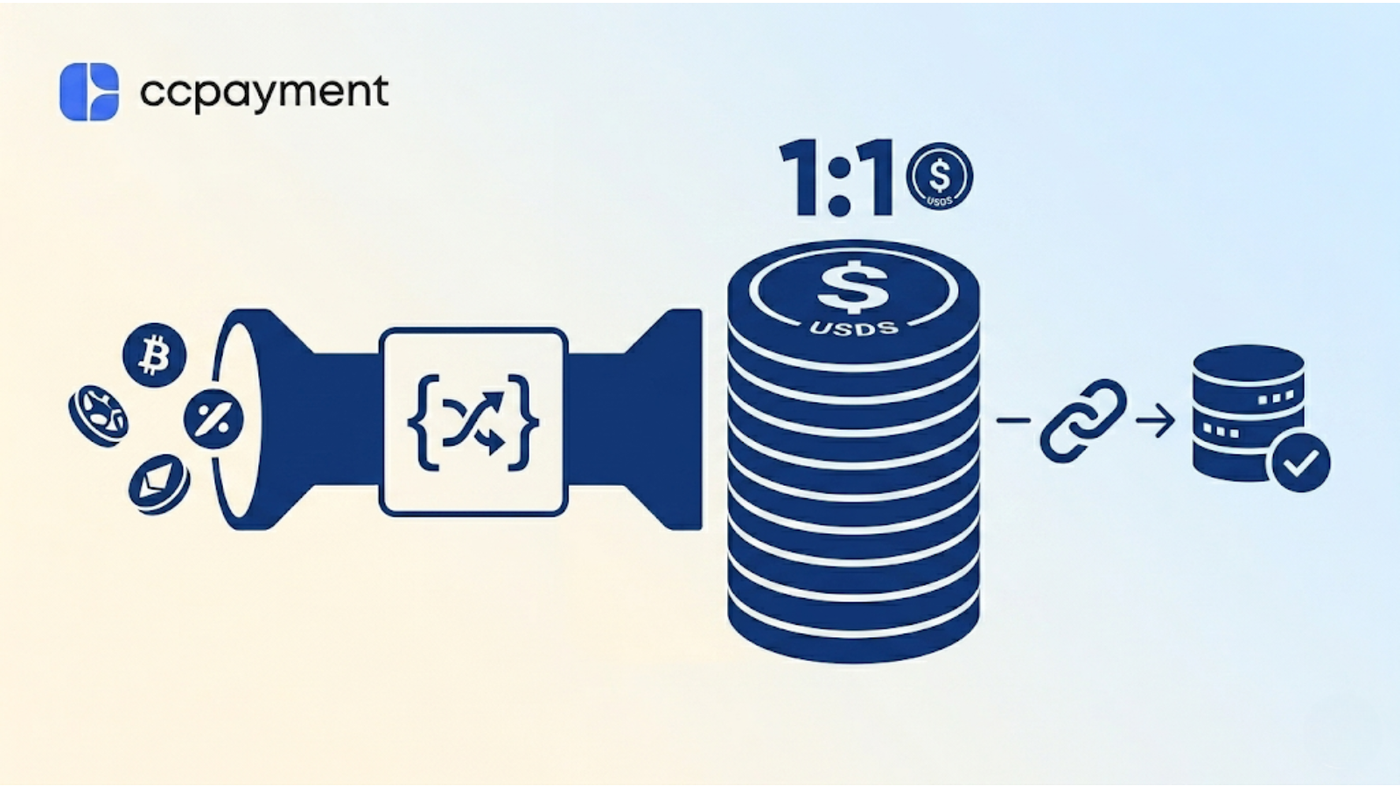Crypto payment API converting volatile tokens into 1:1 USDS stablecoins for automated ERP reconciliation.
