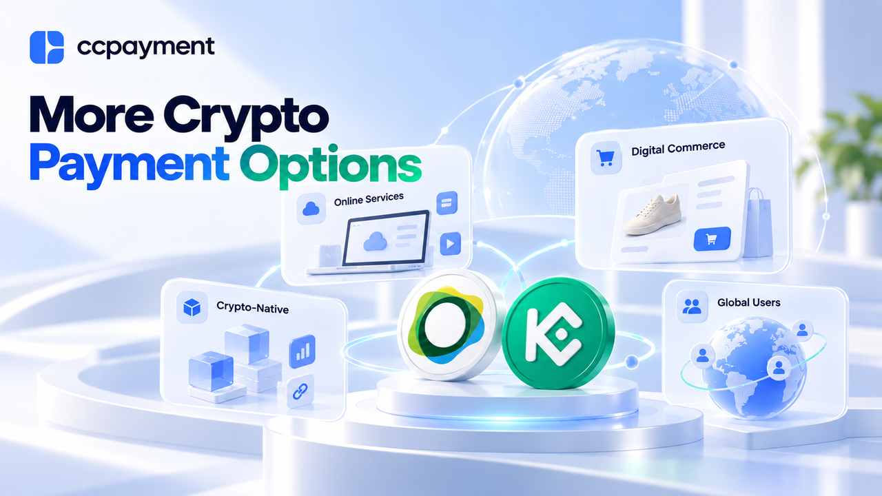 Who Benefits from More Crypto Payment Options?