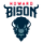 Howard University logo