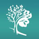 Logo of brainstory