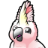 Logo of cockatoo