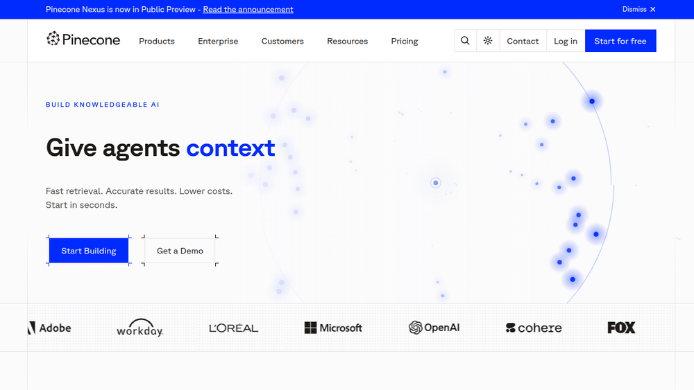 Screenshot of pinecone