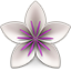 Logo of vellum