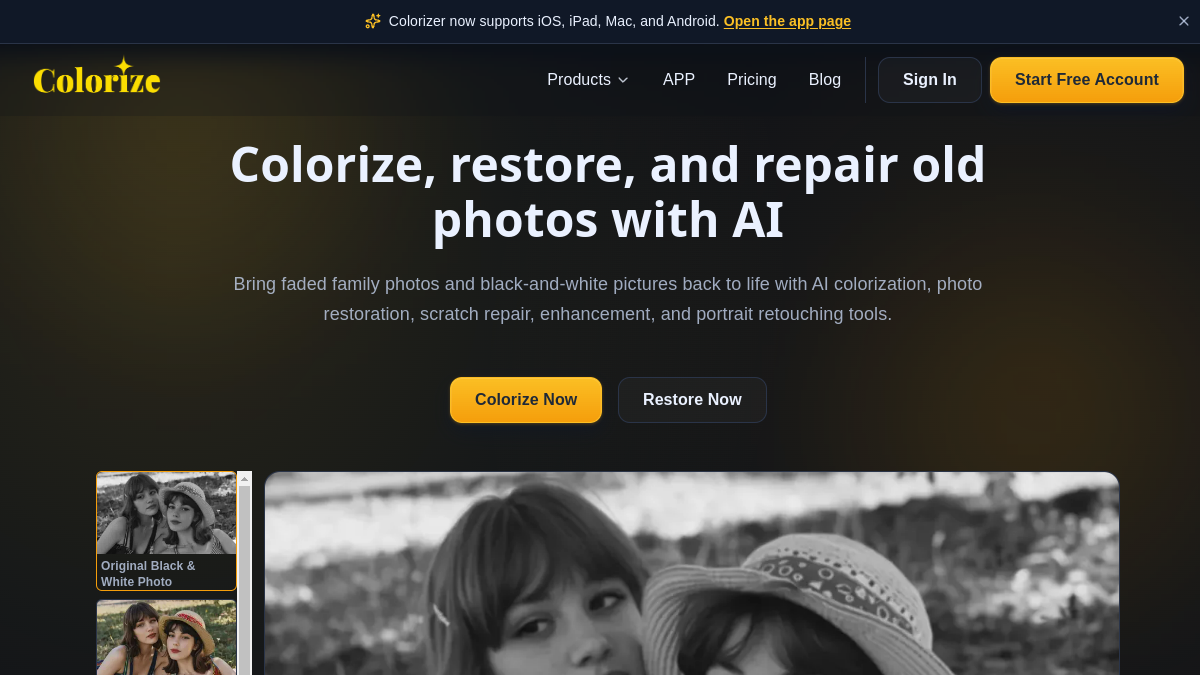 Screenshot of imagecolorizer