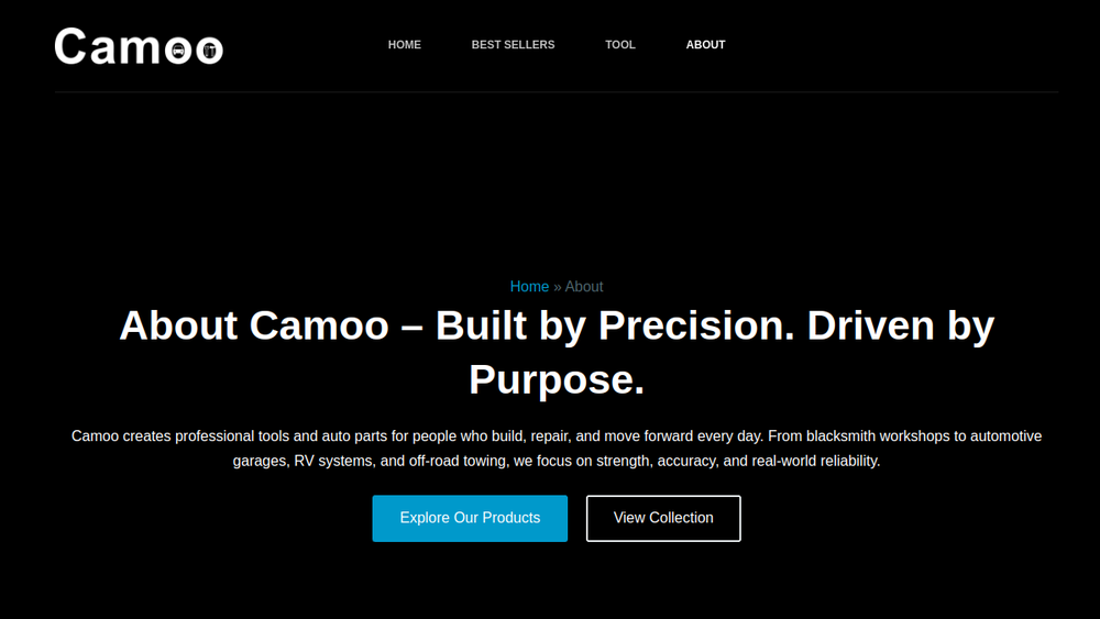 Screenshot of camoo