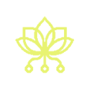 Logo of pollinations