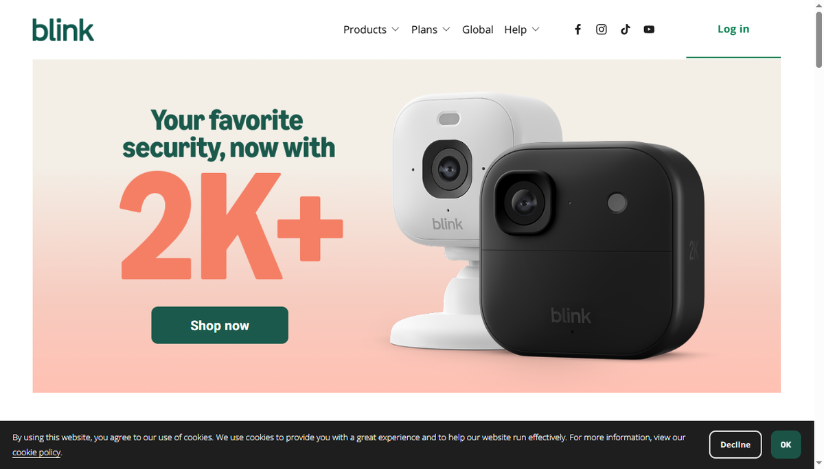 Screenshot of blink