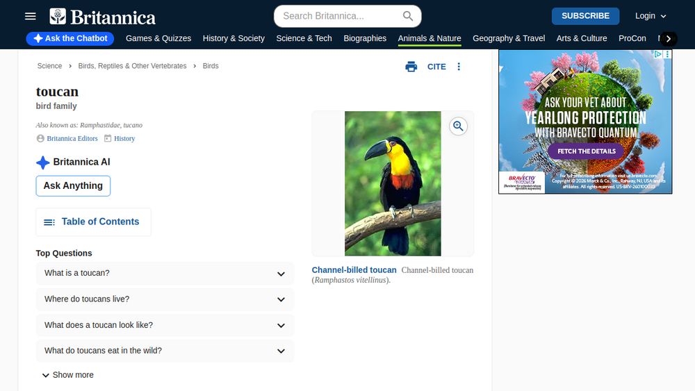 Screenshot of toucan