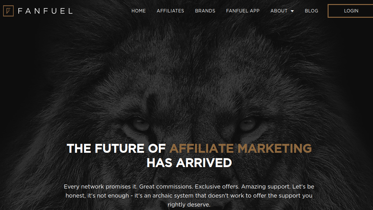 Screenshot of fanfuel