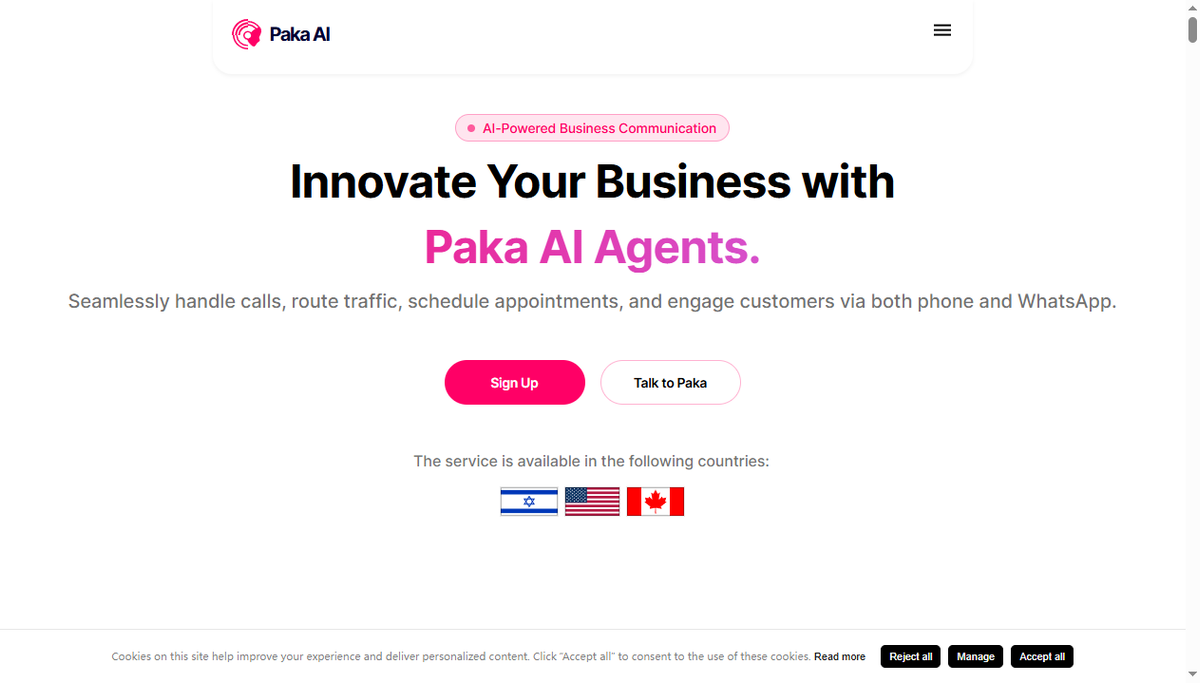 Screenshot of paka ai