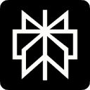 Logo of perplexity ai