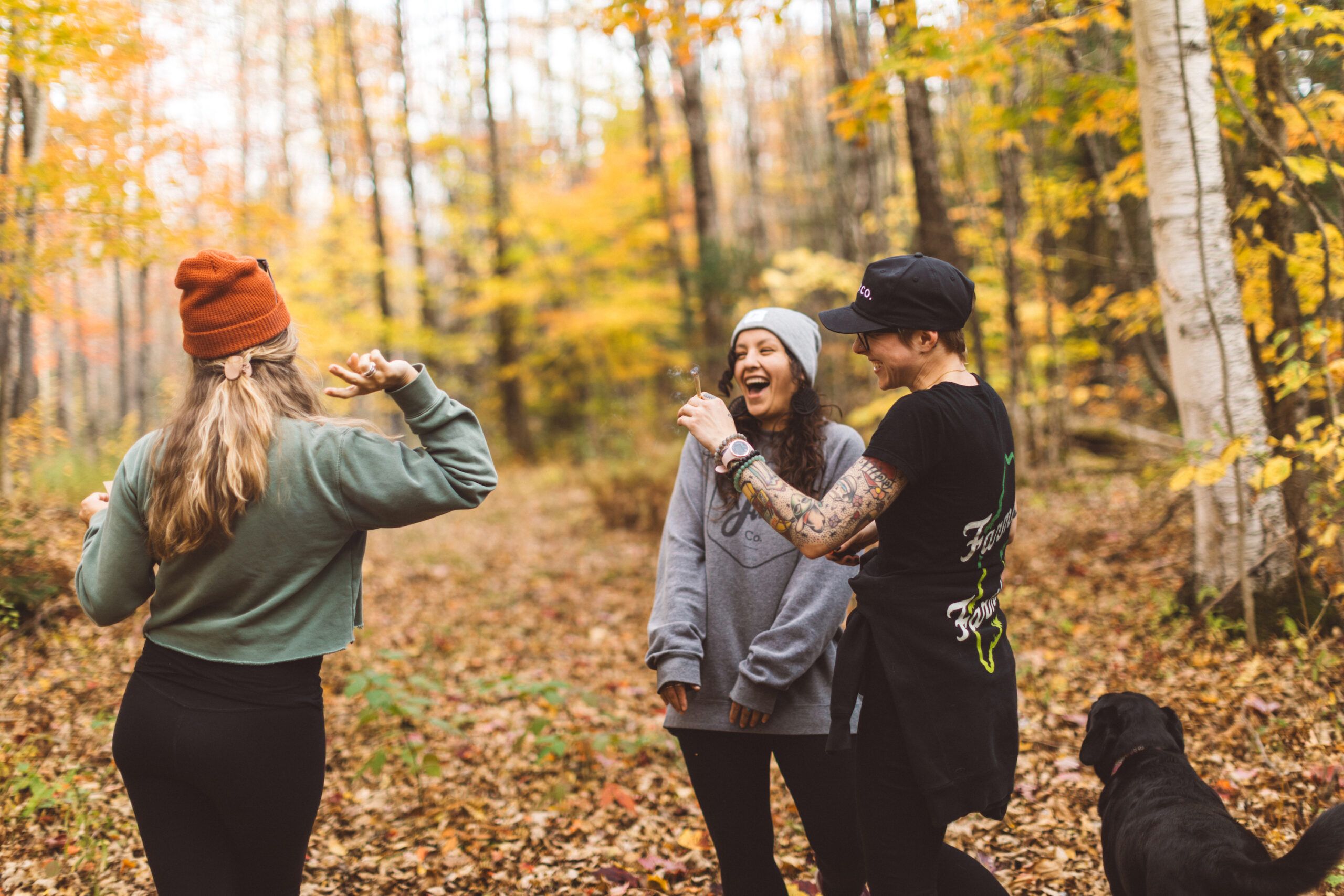 fall in maine