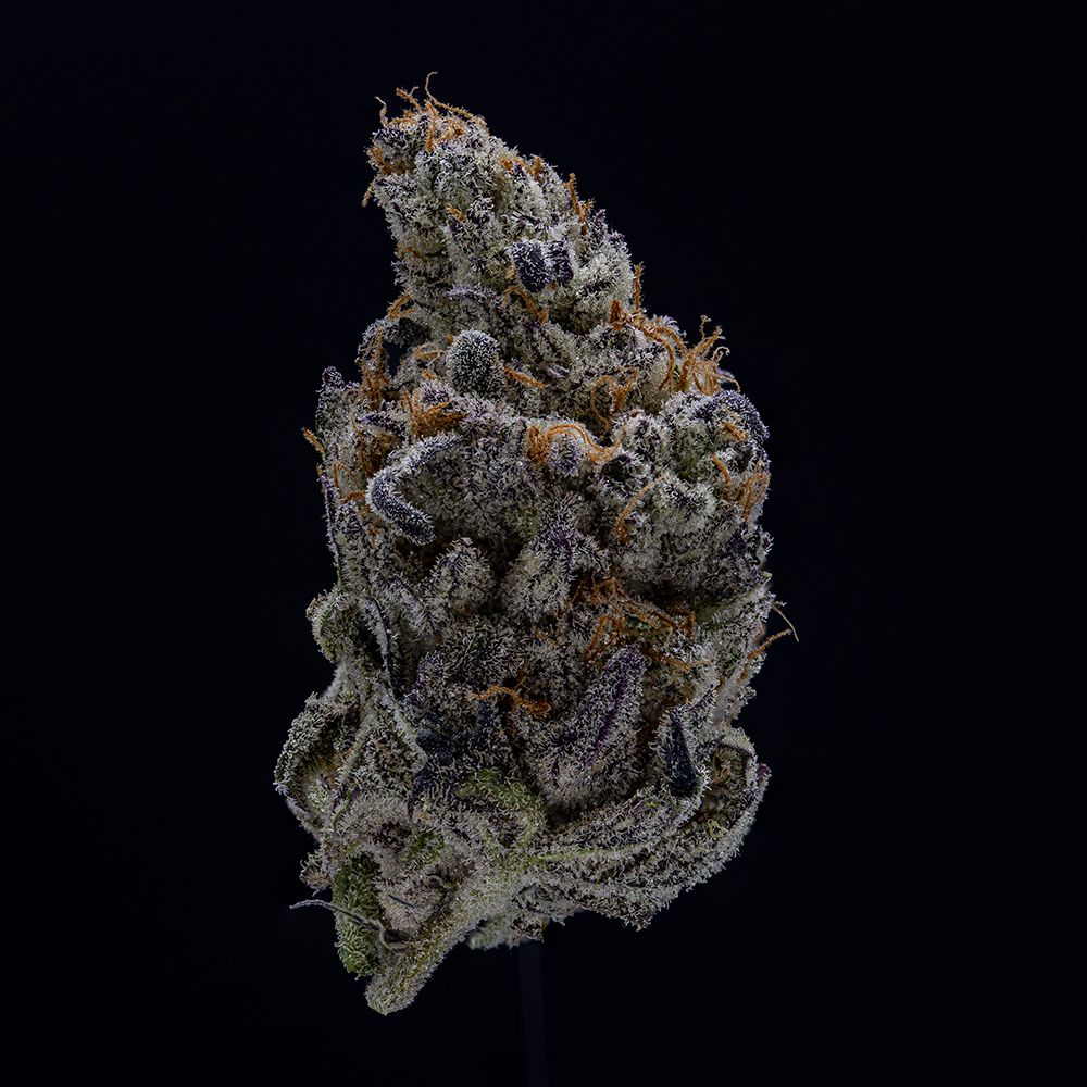 Macro shot of Devil Driver, a bold pick on our favorite strains list