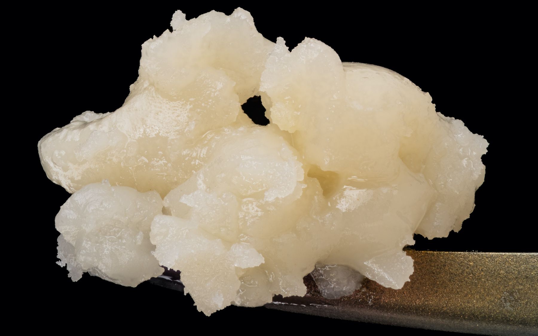 Award-Winning Devil Driver Designed Cold Cure Live Rosin cover image